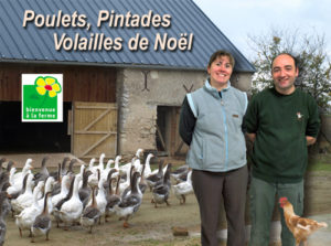 Volaille poulet pintade